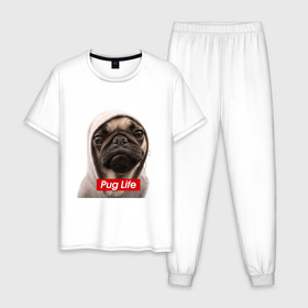Мужская пижама хлопок с принтом Pug life в Екатеринбурге, 100% хлопок | брюки и футболка прямого кроя, без карманов, на брюках мягкая резинка на поясе и по низу штанин
 | pug life | жизнь | капюшон | мопс | собака