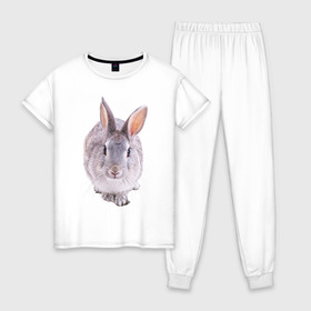 Женская пижама хлопок с принтом Кролик в Екатеринбурге, 100% хлопок | брюки и футболка прямого кроя, без карманов, на брюках мягкая резинка на поясе и по низу штанин | заяц | кролик | крольчёнок | крольчишка