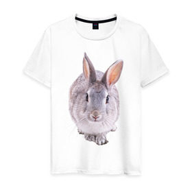 Мужская футболка хлопок с принтом Кролик в Екатеринбурге, 100% хлопок | прямой крой, круглый вырез горловины, длина до линии бедер, слегка спущенное плечо. | заяц | кролик | крольчёнок | крольчишка
