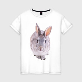 Женская футболка хлопок с принтом Кролик в Екатеринбурге, 100% хлопок | прямой крой, круглый вырез горловины, длина до линии бедер, слегка спущенное плечо | заяц | кролик | крольчёнок | крольчишка