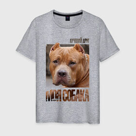 Мужская футболка хлопок с принтом Американский булли в Екатеринбурге, 100% хлопок | прямой крой, круглый вырез горловины, длина до линии бедер, слегка спущенное плечо. | drug | американский булли | порода | собака
