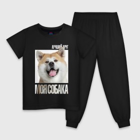 Детская пижама хлопок с принтом Акита ину в Екатеринбурге, 100% хлопок |  брюки и футболка прямого кроя, без карманов, на брюках мягкая резинка на поясе и по низу штанин
 | Тематика изображения на принте: drug | акита ину | порода | собака