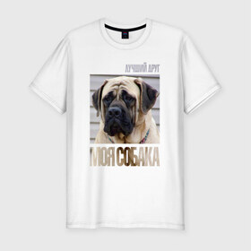 Мужская футболка премиум с принтом Английский мастиф в Екатеринбурге, 92% хлопок, 8% лайкра | приталенный силуэт, круглый вырез ворота, длина до линии бедра, короткий рукав | drug | английский мастиф | порода | собака