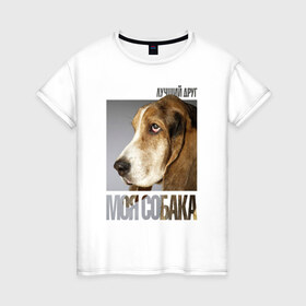 Женская футболка хлопок с принтом Бассет-хаунд в Екатеринбурге, 100% хлопок | прямой крой, круглый вырез горловины, длина до линии бедер, слегка спущенное плечо | drug | бассет хаунд | порода | собака