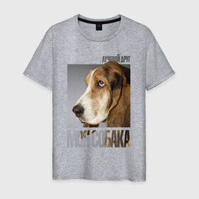 Мужская футболка хлопок с принтом Бассет-хаунд в Екатеринбурге, 100% хлопок | прямой крой, круглый вырез горловины, длина до линии бедер, слегка спущенное плечо. | drug | бассет хаунд | порода | собака