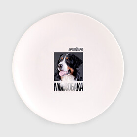 Тарелка с принтом Бернский зенненхунд в Екатеринбурге, фарфор | диаметр - 210 мм
диаметр для нанесения принта - 120 мм | drug | бернский зенненхунд | порода | собака