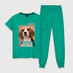 Женская пижама хлопок с принтом Бигль в Екатеринбурге, 100% хлопок | брюки и футболка прямого кроя, без карманов, на брюках мягкая резинка на поясе и по низу штанин | drug | бигль | порода | собака