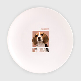 Тарелка 3D с принтом Бигль в Екатеринбурге, фарфор | диаметр - 210 мм
диаметр для нанесения принта - 120 мм | drug | бигль | порода | собака