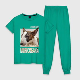 Женская пижама хлопок с принтом Бультерьер в Екатеринбурге, 100% хлопок | брюки и футболка прямого кроя, без карманов, на брюках мягкая резинка на поясе и по низу штанин | drug | порода | собака