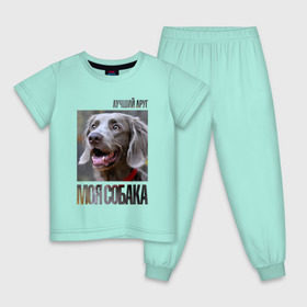 Детская пижама хлопок с принтом Веймаранер в Екатеринбурге, 100% хлопок |  брюки и футболка прямого кроя, без карманов, на брюках мягкая резинка на поясе и по низу штанин
 | drug | веймаранер | порода | собака