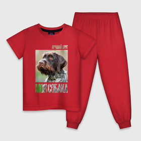 Детская пижама хлопок с принтом Дратхаар, лучший, друг, собака в Екатеринбурге, 100% хлопок |  брюки и футболка прямого кроя, без карманов, на брюках мягкая резинка на поясе и по низу штанин
 | drug | дратхаар | порода | собака