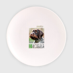 Тарелка с принтом Дратхаар, лучший, друг, собака в Екатеринбурге, фарфор | диаметр - 210 мм
диаметр для нанесения принта - 120 мм | Тематика изображения на принте: drug | дратхаар | порода | собака