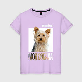 Женская футболка хлопок с принтом Йоркширский терьер в Екатеринбурге, 100% хлопок | прямой крой, круглый вырез горловины, длина до линии бедер, слегка спущенное плечо | Тематика изображения на принте: drug | порода | собака