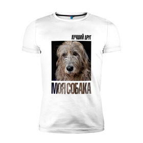Мужская футболка премиум с принтом Ирландский волкодав в Екатеринбурге, 92% хлопок, 8% лайкра | приталенный силуэт, круглый вырез ворота, длина до линии бедра, короткий рукав | drug | ирландский волкодав | порода | собака