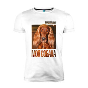 Мужская футболка премиум с принтом Ирландский сеттер в Екатеринбурге, 92% хлопок, 8% лайкра | приталенный силуэт, круглый вырез ворота, длина до линии бедра, короткий рукав | drug | ирландский сеттер | порода | собака