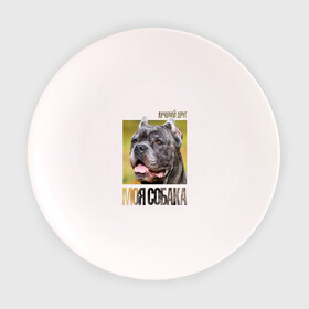 Тарелка с принтом Канне корсо в Екатеринбурге, фарфор | диаметр - 210 мм
диаметр для нанесения принта - 120 мм | drug | канне корсо | порода | собака
