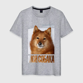 Мужская футболка хлопок с принтом Карело-финская лайка в Екатеринбурге, 100% хлопок | прямой крой, круглый вырез горловины, длина до линии бедер, слегка спущенное плечо. | drug | карело финская лайка | порода | собака