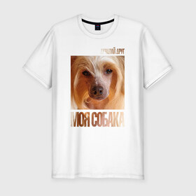 Мужская футболка премиум с принтом Китайская хохлатая собака в Екатеринбурге, 92% хлопок, 8% лайкра | приталенный силуэт, круглый вырез ворота, длина до линии бедра, короткий рукав | китайская хохлатая собака | порода | собака