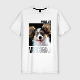 Мужская футболка премиум с принтом Папийон в Екатеринбурге, 92% хлопок, 8% лайкра | приталенный силуэт, круглый вырез ворота, длина до линии бедра, короткий рукав | drug | папийон | порода | собака