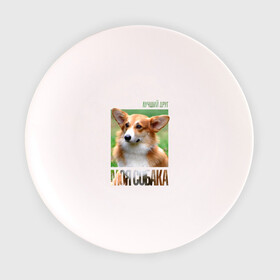 Тарелка с принтом Вельш-корги-пемброк в Екатеринбурге, фарфор | диаметр - 210 мм
диаметр для нанесения принта - 120 мм | drug | вельш корги пемброк | порода | собака