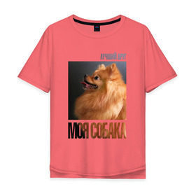 Мужская футболка хлопок Oversize с принтом Померанский шпиц в Екатеринбурге, 100% хлопок | свободный крой, круглый ворот, “спинка” длиннее передней части | drug | померанский шпиц | порода | собака