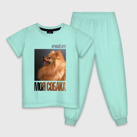 Детская пижама хлопок с принтом Померанский шпиц в Екатеринбурге, 100% хлопок |  брюки и футболка прямого кроя, без карманов, на брюках мягкая резинка на поясе и по низу штанин
 | drug | померанский шпиц | порода | собака