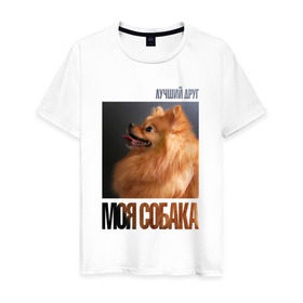 Мужская футболка хлопок с принтом Померанский шпиц в Екатеринбурге, 100% хлопок | прямой крой, круглый вырез горловины, длина до линии бедер, слегка спущенное плечо. | drug | померанский шпиц | порода | собака
