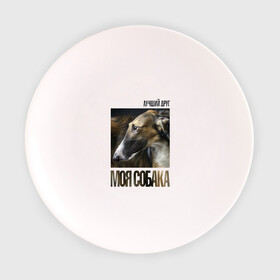 Тарелка с принтом Псовая русская борзая в Екатеринбурге, фарфор | диаметр - 210 мм
диаметр для нанесения принта - 120 мм | порода | псовая русская борзая | собака