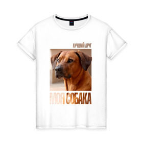 Женская футболка хлопок с принтом Родезийский риджбек в Екатеринбурге, 100% хлопок | прямой крой, круглый вырез горловины, длина до линии бедер, слегка спущенное плечо | drug | порода | родезийский риджбек | собака