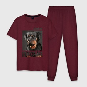 Мужская пижама хлопок с принтом Ротвейлер в Екатеринбурге, 100% хлопок | брюки и футболка прямого кроя, без карманов, на брюках мягкая резинка на поясе и по низу штанин
 | drug | порода | собака