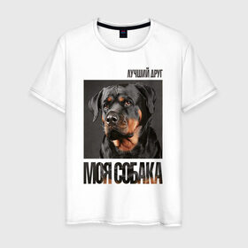 Мужская футболка хлопок с принтом Ротвейлер в Екатеринбурге, 100% хлопок | прямой крой, круглый вырез горловины, длина до линии бедер, слегка спущенное плечо. | drug | порода | собака