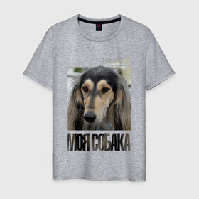 Мужская футболка хлопок с принтом Салюки в Екатеринбурге, 100% хлопок | прямой крой, круглый вырез горловины, длина до линии бедер, слегка спущенное плечо. | drug | порода | салюки | собака
