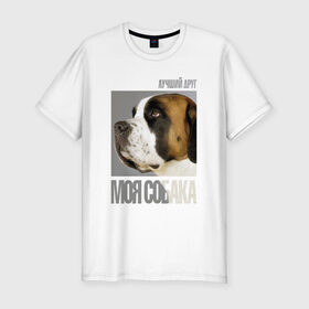 Мужская футболка премиум с принтом Сенбернар в Екатеринбурге, 92% хлопок, 8% лайкра | приталенный силуэт, круглый вырез ворота, длина до линии бедра, короткий рукав | drug | порода | сенбернар | собака
