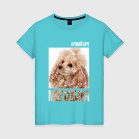 Женская футболка хлопок с принтом Той-пудель в Екатеринбурге, 100% хлопок | прямой крой, круглый вырез горловины, длина до линии бедер, слегка спущенное плечо | drug | порода | пудель | собака
