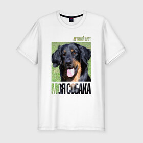 Мужская футболка премиум с принтом Ховаварт в Екатеринбурге, 92% хлопок, 8% лайкра | приталенный силуэт, круглый вырез ворота, длина до линии бедра, короткий рукав | drug | порода | собака | ховаварт