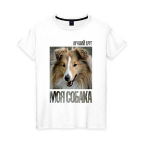 Женская футболка хлопок с принтом Шелти в Екатеринбурге, 100% хлопок | прямой крой, круглый вырез горловины, длина до линии бедер, слегка спущенное плечо | drug | порода | собака | шелти
