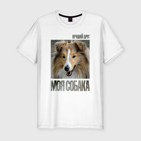Мужская футболка премиум с принтом Шелти в Екатеринбурге, 92% хлопок, 8% лайкра | приталенный силуэт, круглый вырез ворота, длина до линии бедра, короткий рукав | drug | порода | собака | шелти