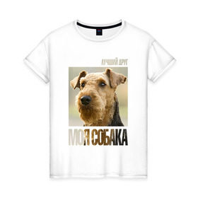 Женская футболка хлопок с принтом Эрдельтерьер в Екатеринбурге, 100% хлопок | прямой крой, круглый вырез горловины, длина до линии бедер, слегка спущенное плечо | drug | порода | собака | эрдельтерьер