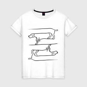 Женская футболка хлопок с принтом Собака в Екатеринбурге, 100% хлопок | прямой крой, круглый вырез горловины, длина до линии бедер, слегка спущенное плечо | восприятие | иллюзия | оптическая иллюзия | собака