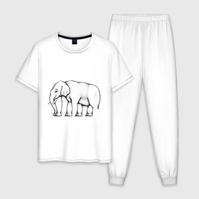Мужская пижама хлопок с принтом Сколько ног у слона в Екатеринбурге, 100% хлопок | брюки и футболка прямого кроя, без карманов, на брюках мягкая резинка на поясе и по низу штанин
 | Тематика изображения на принте: слон
