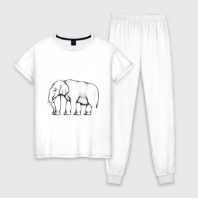 Женская пижама хлопок с принтом Сколько ног у слона в Екатеринбурге, 100% хлопок | брюки и футболка прямого кроя, без карманов, на брюках мягкая резинка на поясе и по низу штанин | Тематика изображения на принте: слон