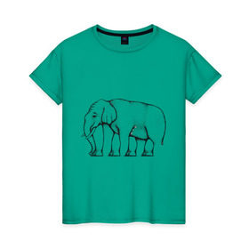 Женская футболка хлопок с принтом Сколько ног у слона в Екатеринбурге, 100% хлопок | прямой крой, круглый вырез горловины, длина до линии бедер, слегка спущенное плечо | слон
