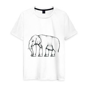 Мужская футболка хлопок с принтом Сколько ног у слона в Екатеринбурге, 100% хлопок | прямой крой, круглый вырез горловины, длина до линии бедер, слегка спущенное плечо. | слон