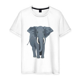 Мужская футболка хлопок с принтом Слон в Екатеринбурге, 100% хлопок | прямой крой, круглый вырез горловины, длина до линии бедер, слегка спущенное плечо. | 