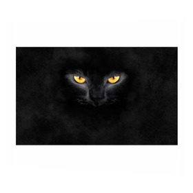 Бумага для упаковки 3D с принтом Черная кошка в Екатеринбурге, пластик и полированная сталь | круглая форма, металлическое крепление в виде кольца | глаза | киса | кот | котик | кошка | черная кошка