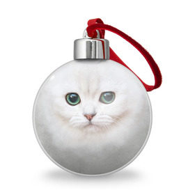 Ёлочный шар с принтом Белый котик в Екатеринбурге, Пластик | Диаметр: 77 мм | Тематика изображения на принте: белая кошка | киса | кот | котик | кошка