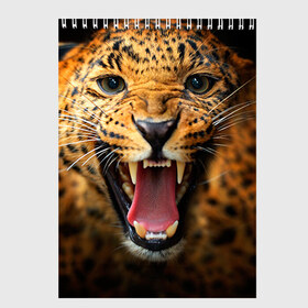 Скетчбук с принтом Леопард в Екатеринбурге, 100% бумага
 | 48 листов, плотность листов — 100 г/м2, плотность картонной обложки — 250 г/м2. Листы скреплены сверху удобной пружинной спиралью | киса | кошка | леопард | хищник