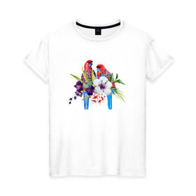 Женская футболка хлопок с принтом Попугаи в Екатеринбурге, 100% хлопок | прямой крой, круглый вырез горловины, длина до линии бедер, слегка спущенное плечо | myparrots | акварель | попугаи | птиц | розелла | цветы