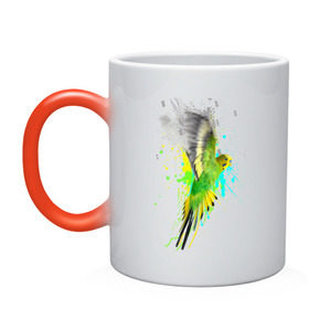 Кружка хамелеон с принтом Волнистый попугай в Екатеринбурге, керамика | меняет цвет при нагревании, емкость 330 мл | myparrots | попугаи | птицы | цветы