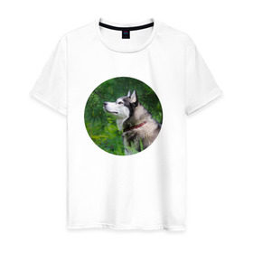 Мужская футболка хлопок с принтом Хаски в Екатеринбурге, 100% хлопок | прямой крой, круглый вырез горловины, длина до линии бедер, слегка спущенное плечо. | dog | husky | собака | хаски | щенок